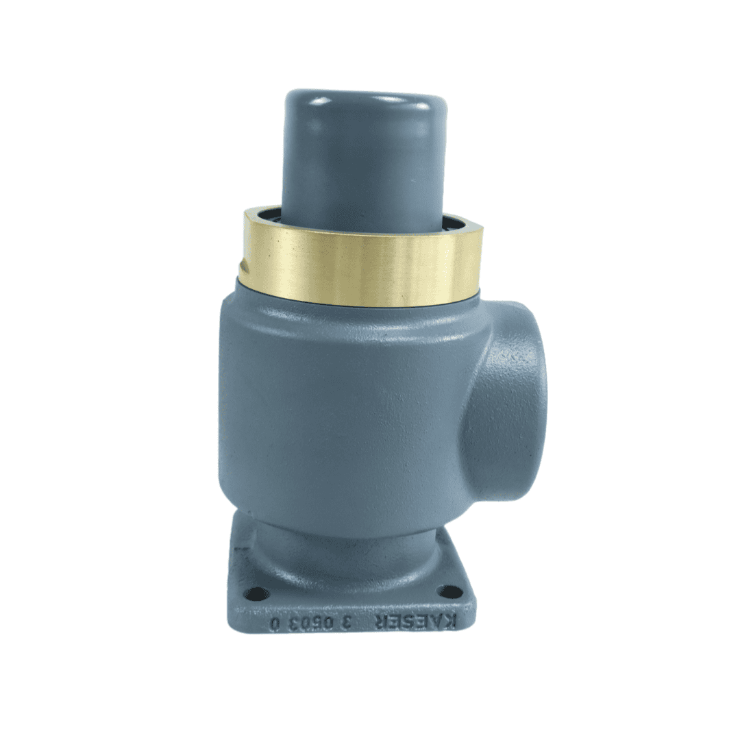 凯撒Kaeser  3.0503.0  压力阀_麦格压缩机（江苏）有限公司