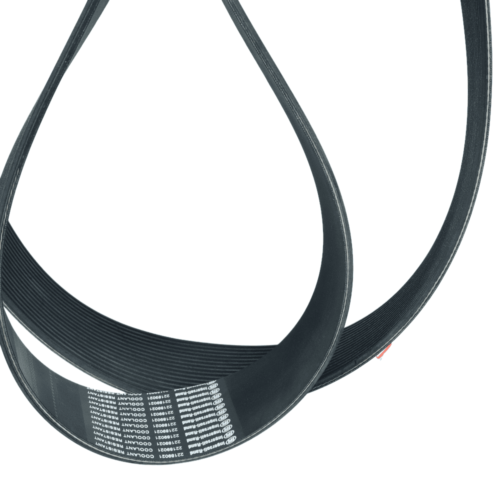 英格索兰 22189021 联体皮带_麦格压缩机（江苏）有限公司