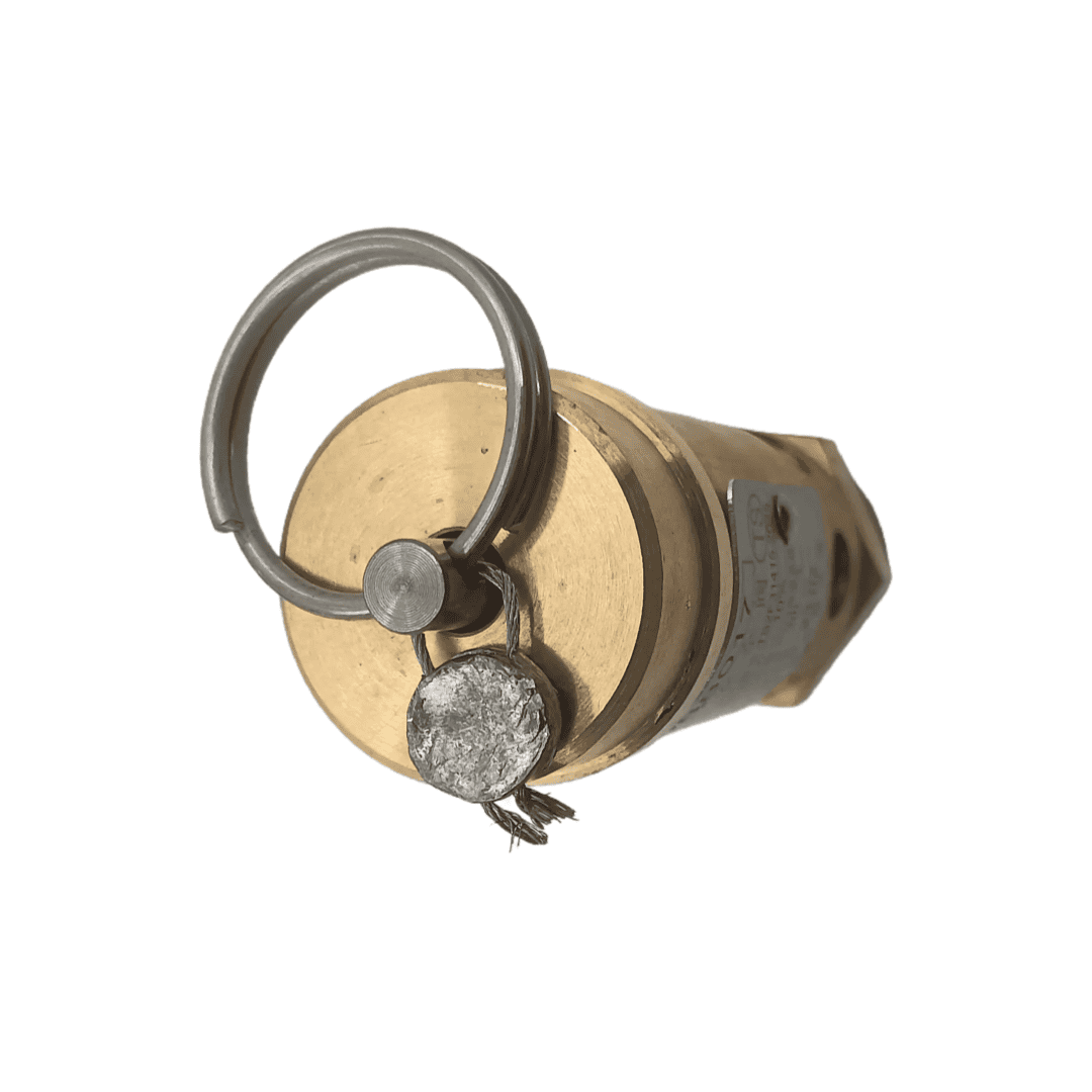 英格索兰 39588017，DN15 安全阀_麦格压缩机（江苏）有限公司